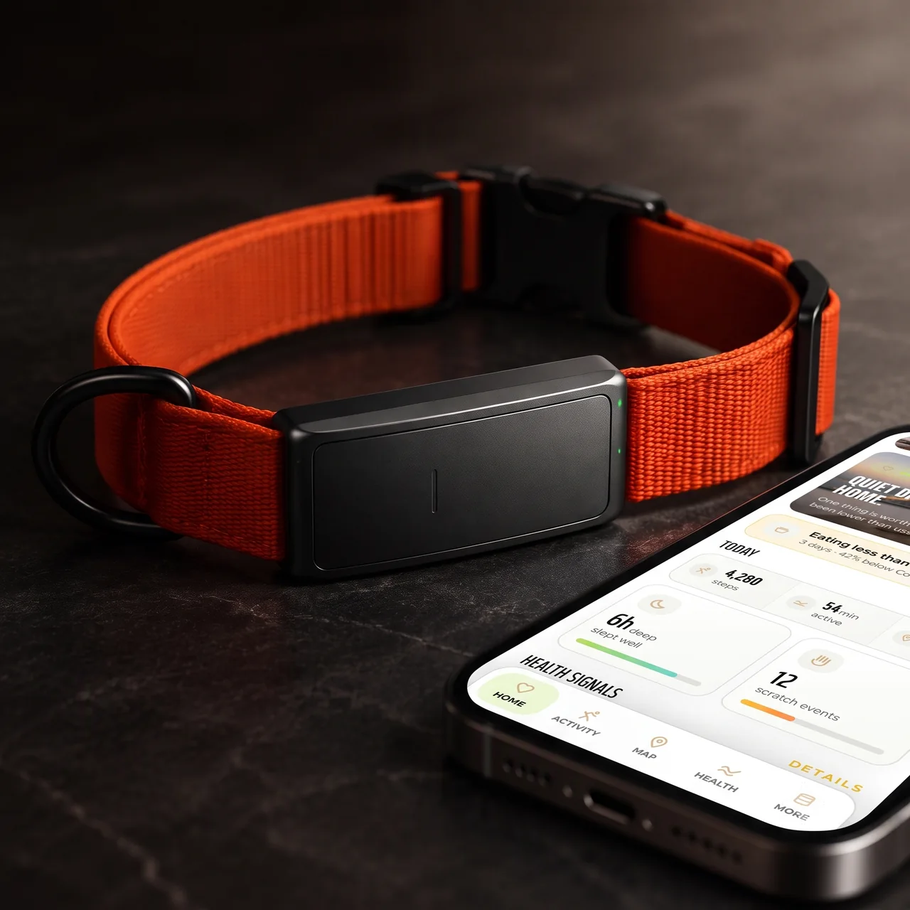 The Boop app home screen showing what changed, beside the collar